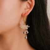 Twilight Crystal Drops Earrings