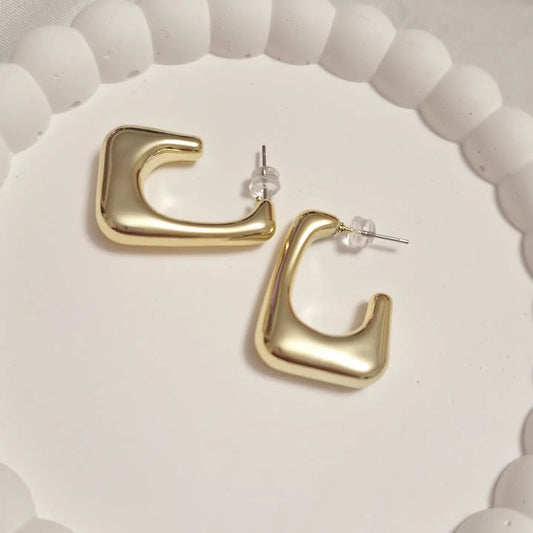 Edgy Gilded Earrings